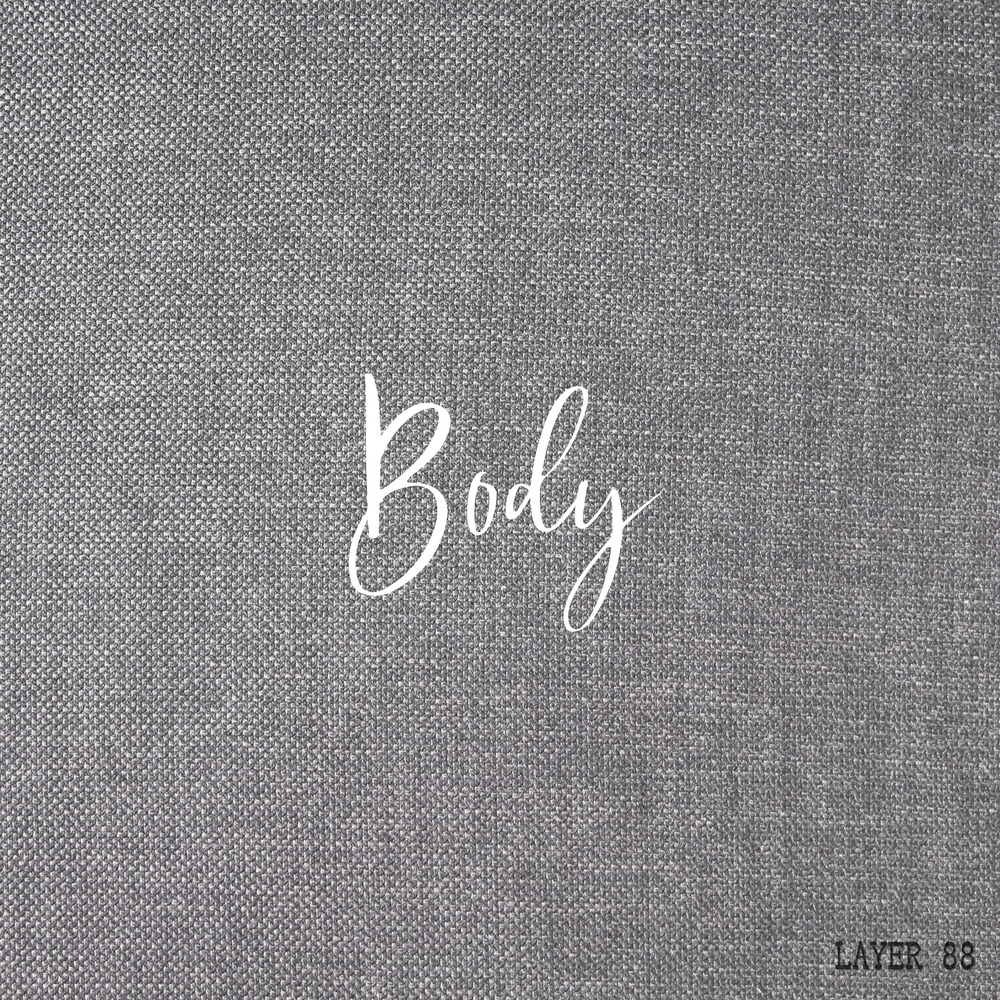 LAYER 'Body'