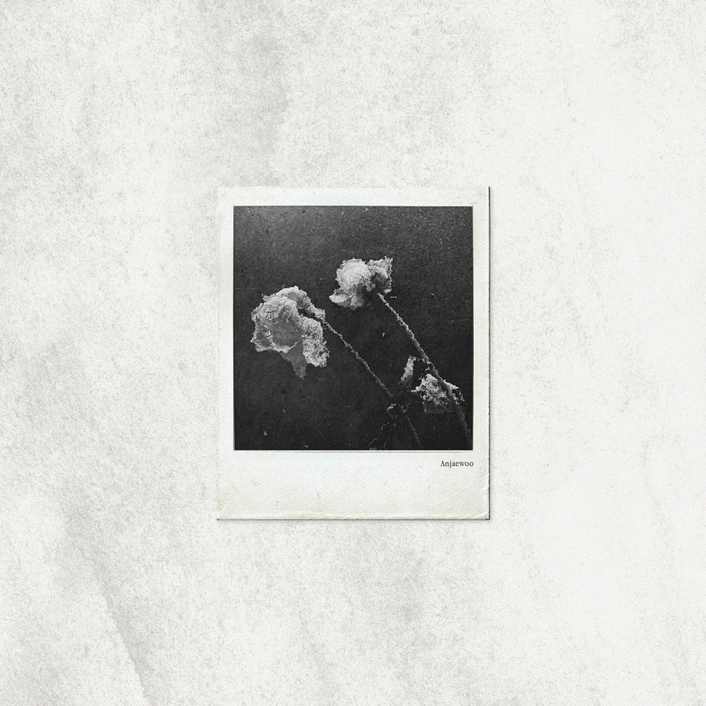 이별과 사랑 사이