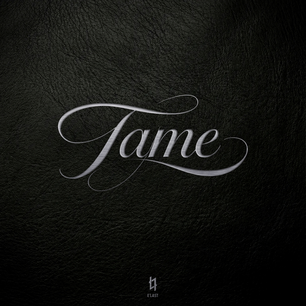 2nd Digital Single [Tame]