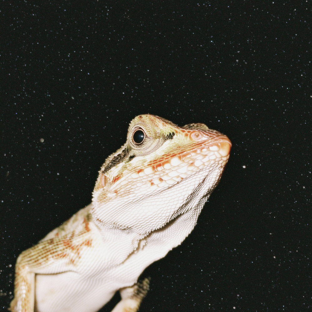 wayout