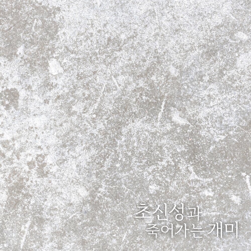초신성과 죽어가는 개미